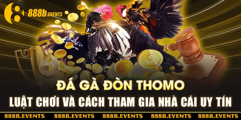 đá gà đòn Thomo