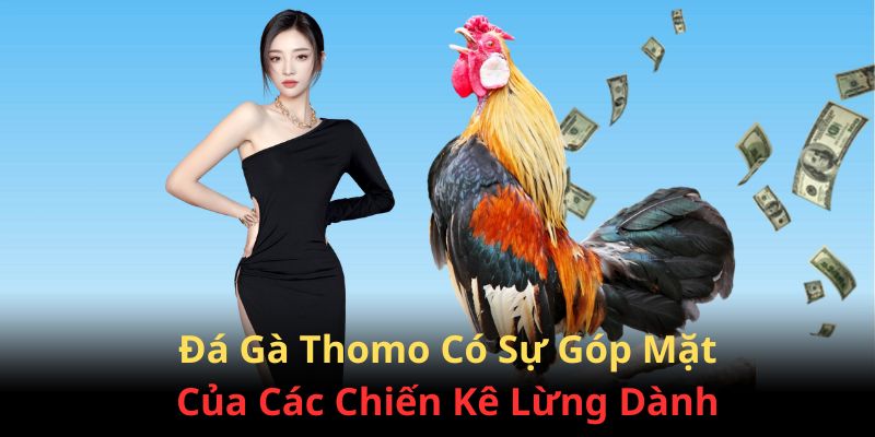 Đấu trường Thomo thu hút nhiều người chơi tham gia tại 888B