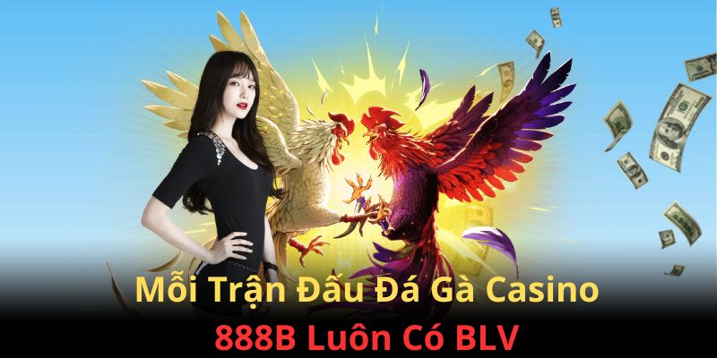 Mỗi trận đấu đều có sự góp mặt của các BLV chuyên nghiệp