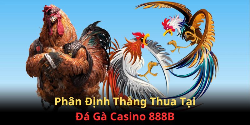 Nhận biết thắng và thua tại đá gà Casino 888B