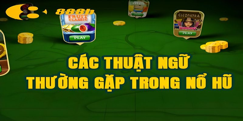 Các thuật ngữ thường gặp