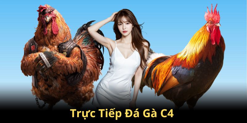 trực tiếp đá gà C4